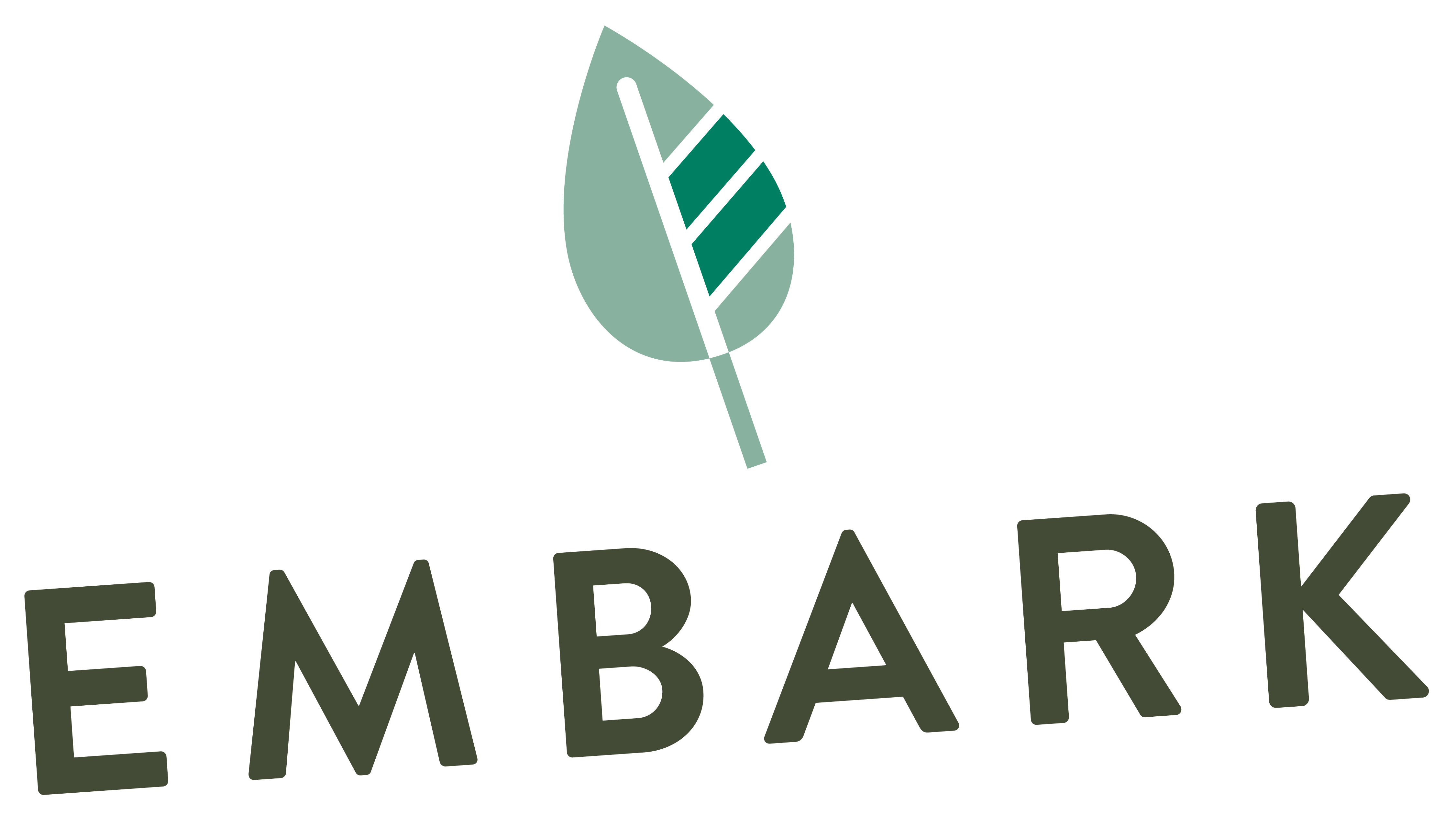 embark logo